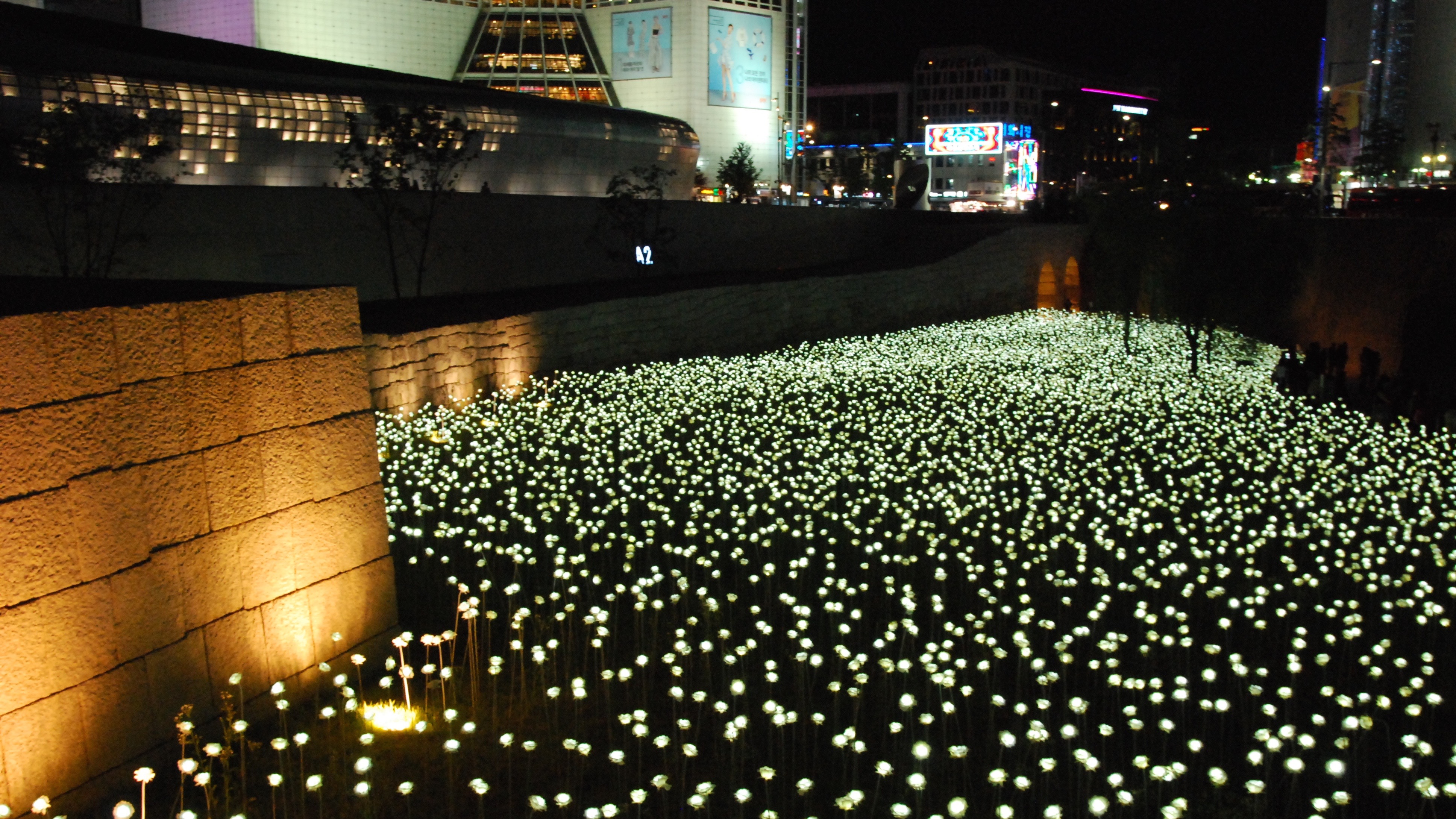 Image result for sky rose garden seoul at night